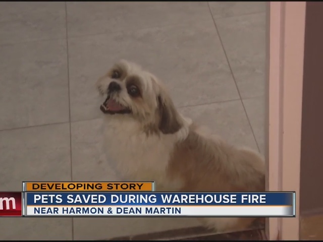 Fire destroy autism foundation�s warehouse near Las Vegas