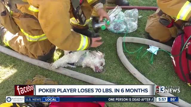 CAUGHT ON CAMERA: Bakersfield city firefighters rescue dog from house fire