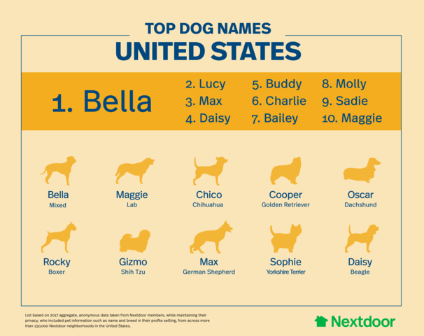 most popular dog names