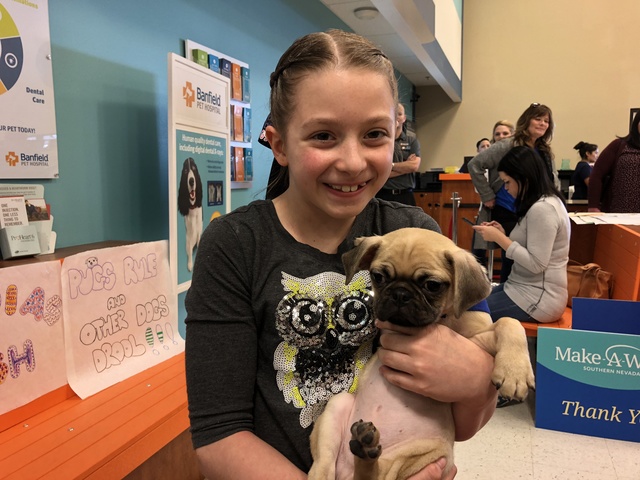 Girl battling brain tumor gets adorable puppy