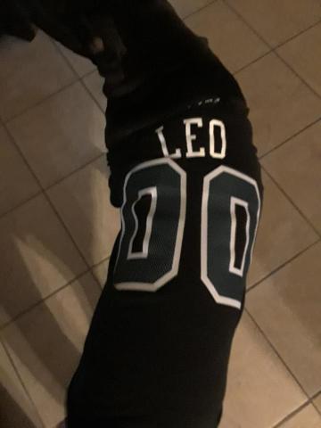 Man warns neighbors after dog shot and killed