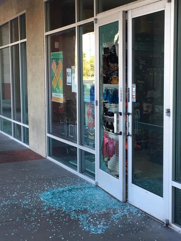 Puppies stolen from Las Vegas pet store