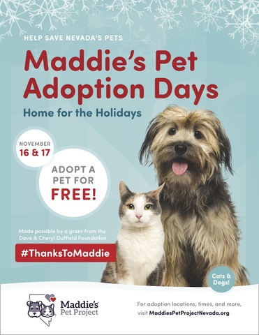pets for free adoption